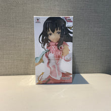 Load image into Gallery viewer, Hajime&lt;br&gt;Figure&lt;br&gt;THE iDOLM@STER
